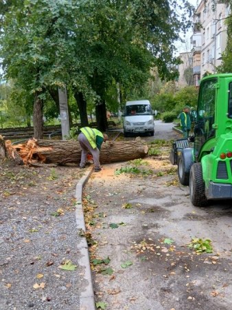 Новини Харкова: майже 100 повідомлень про повалені дерева